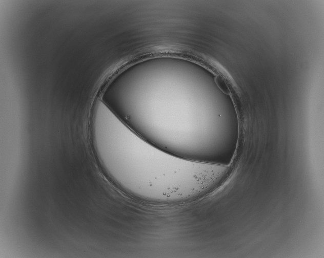X0000111840930200907231036