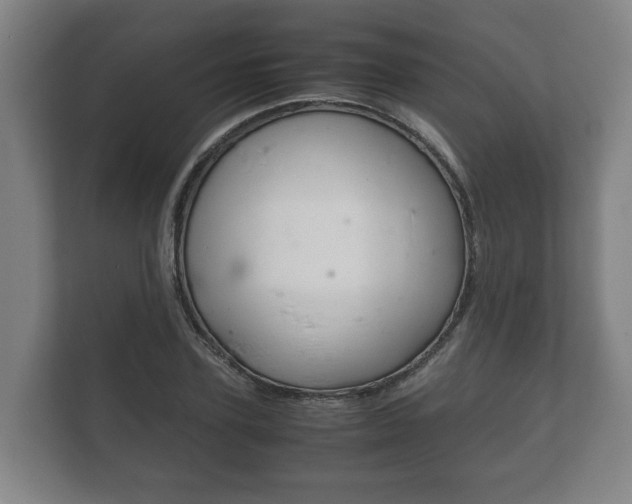 X0000111840931200907231036