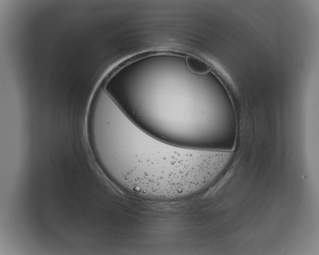 X0000111840932200907231036