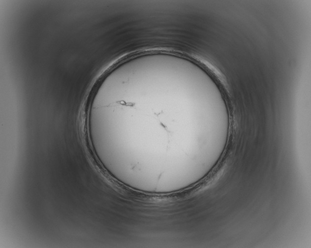 X0000111840933200907231036