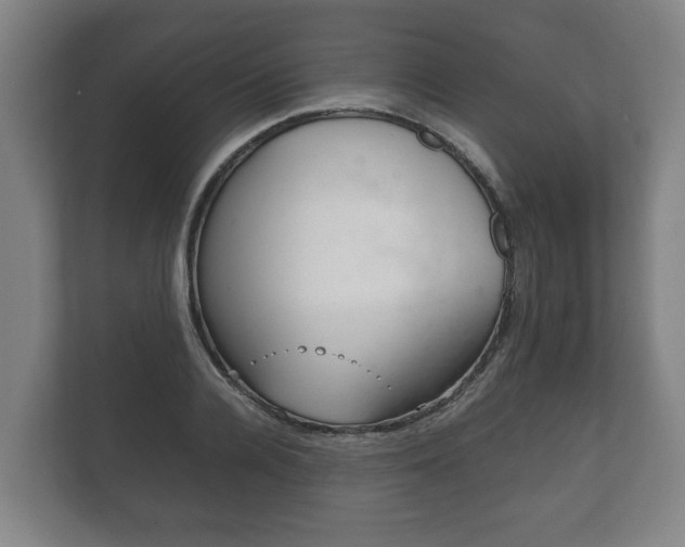 X0000111840936200907231036