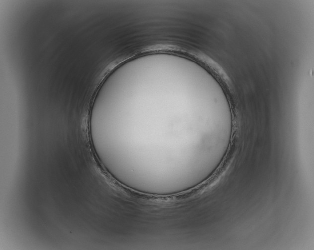 X0000111840937200907231036