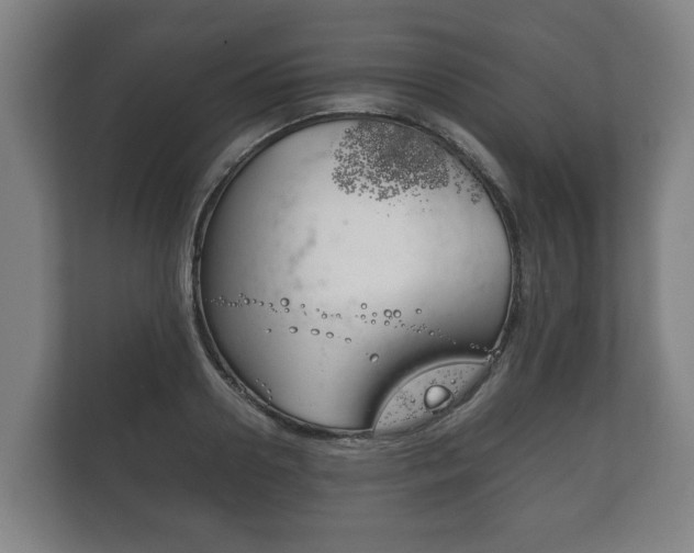 X0000111840938200907231036