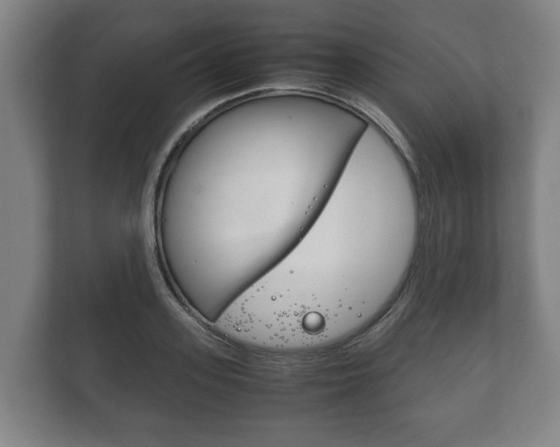X0000111840939200907231036