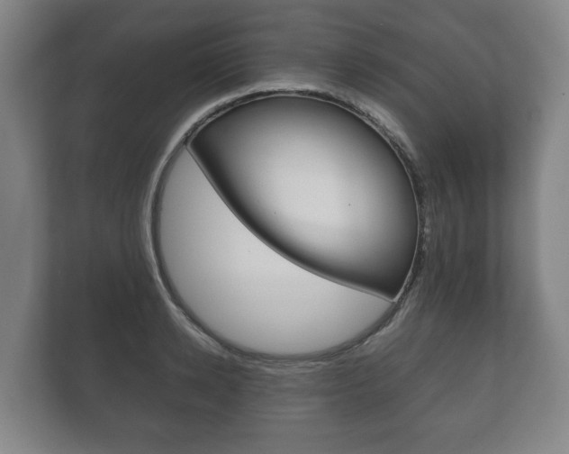 X0000111840942200907231036