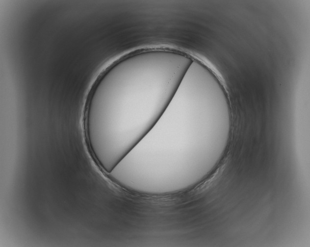 X0000111840943200907231036