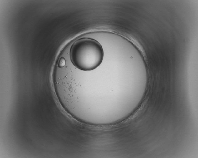 X0000111840944200907231036