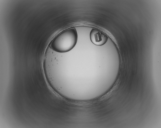 X0000111840946200907231036