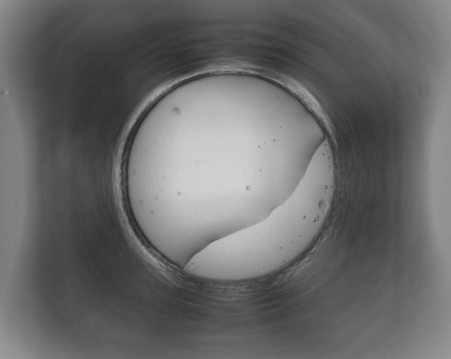 X0000111840947200907231036