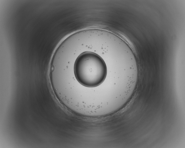 X0000111840948200907231036