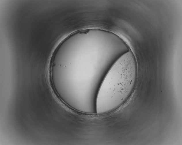 X0000111840949200907231036