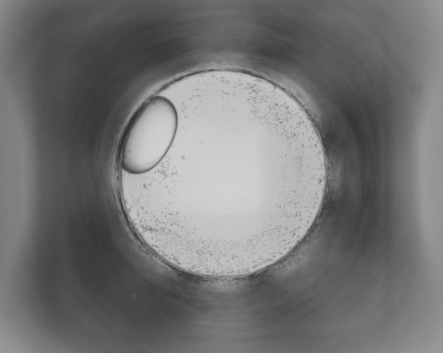 X0000111840950200907231036