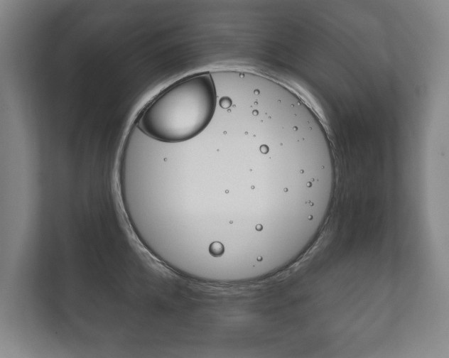 X0000111840952200907231036