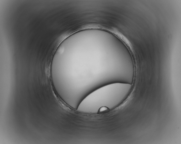 X0000111840953200907231036