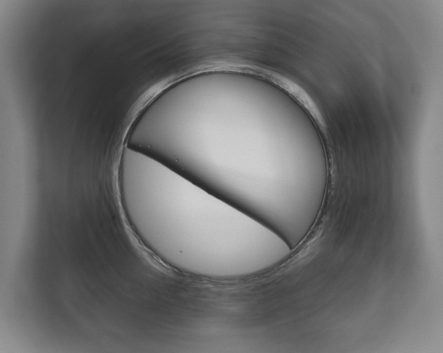 X0000111840954200907231036
