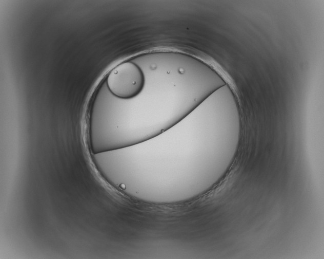 X0000111840955200907231036
