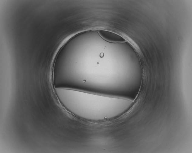 X0000111840956200907231036