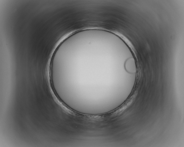 X0000111840957200907231036