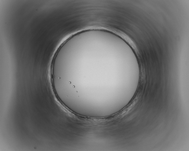 X0000111840958200907231036