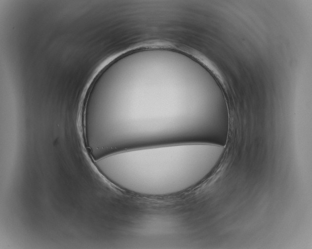 X0000111840959200907231036