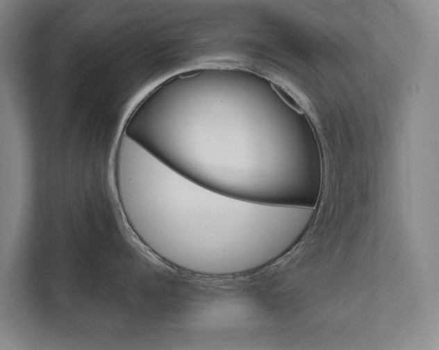 X0000111840960200907231036