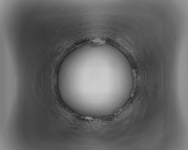 X0000111840961200907231036