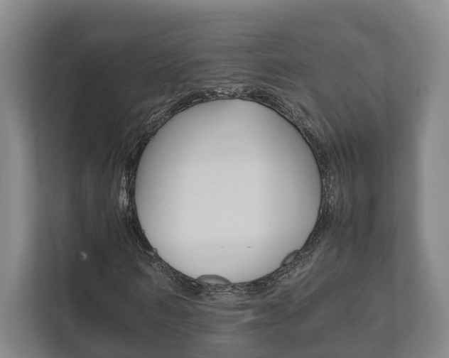X0000111840962200907231036
