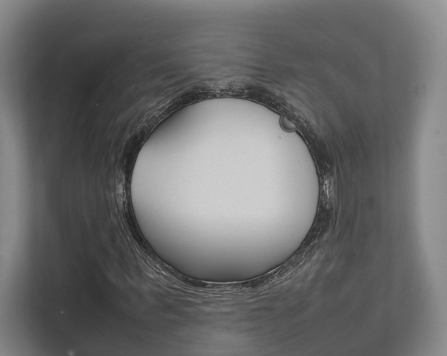 X0000111840963200907231036