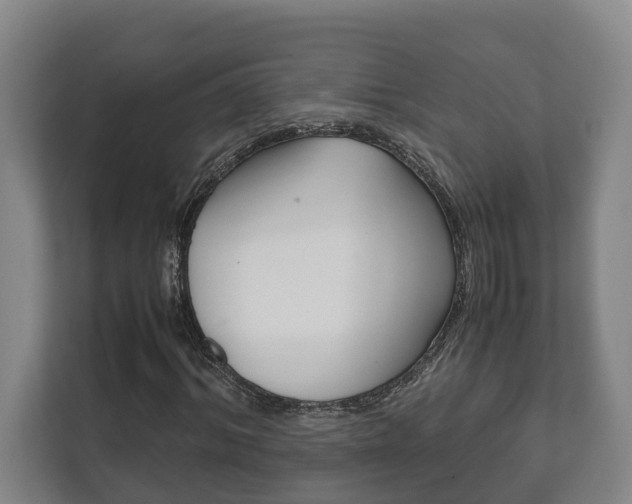 X0000111840964200907231036