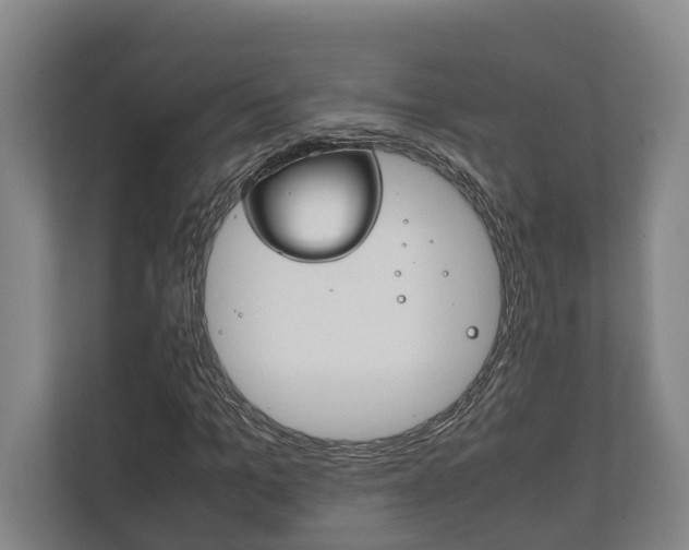X0000111840965200907231036