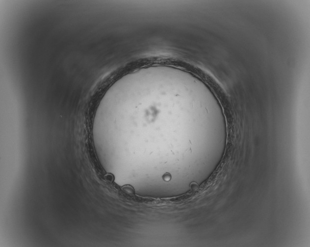 X0000111840967200907231036