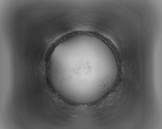 X0000111840968200907231036
