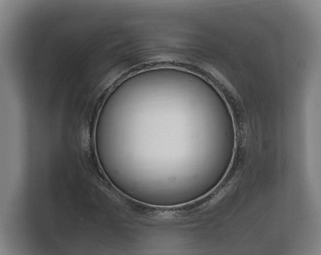 X0000111840969200907231036