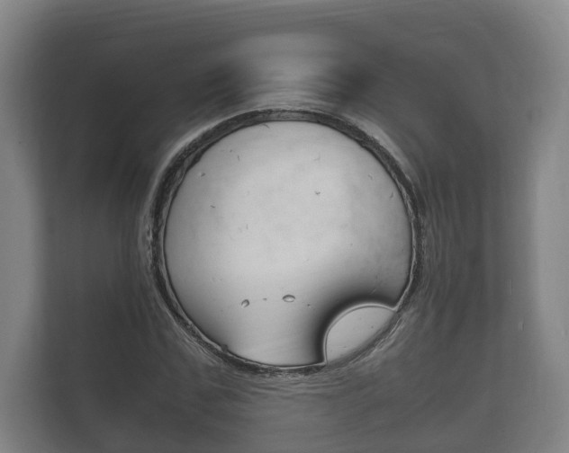 X0000111840971200907231036