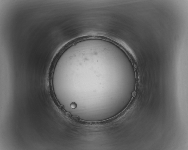 X0000111840972200907231036
