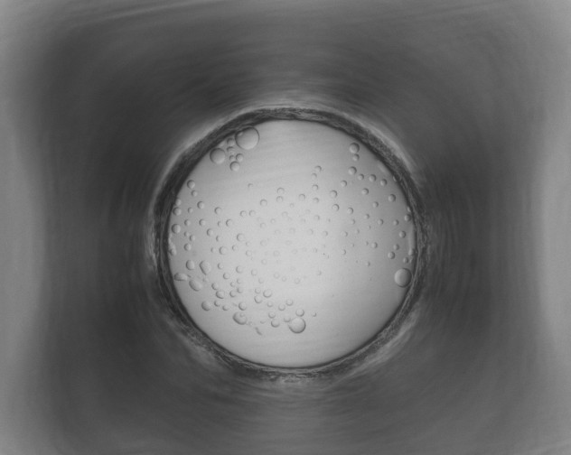 X0000111840974200907231036