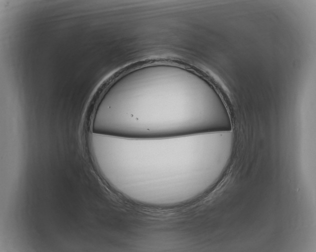 X0000111840975200907231036