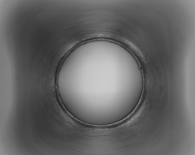 X0000111840977200907231036
