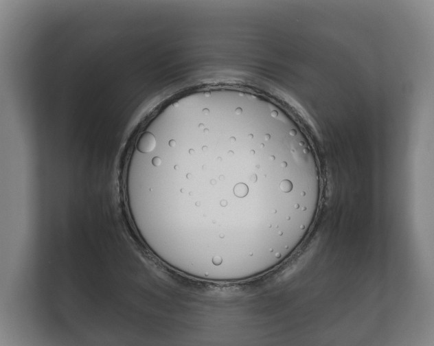 X0000111840978200907231036