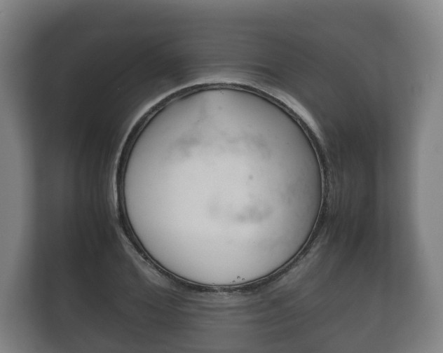 X0000111840980200907231036