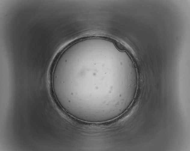 X0000111840981200907231036