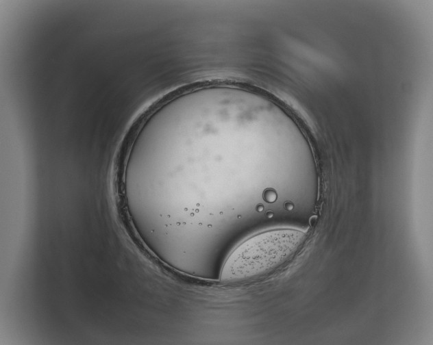 X0000111840983200907231036