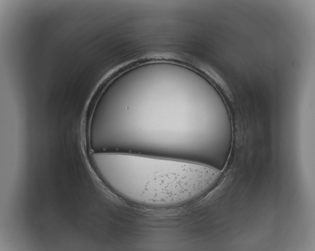 X0000111840984200907231036