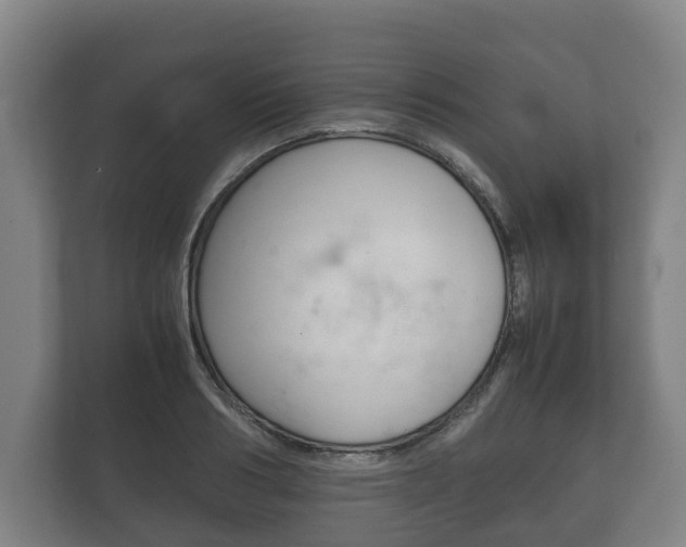 X0000111840986200907231035