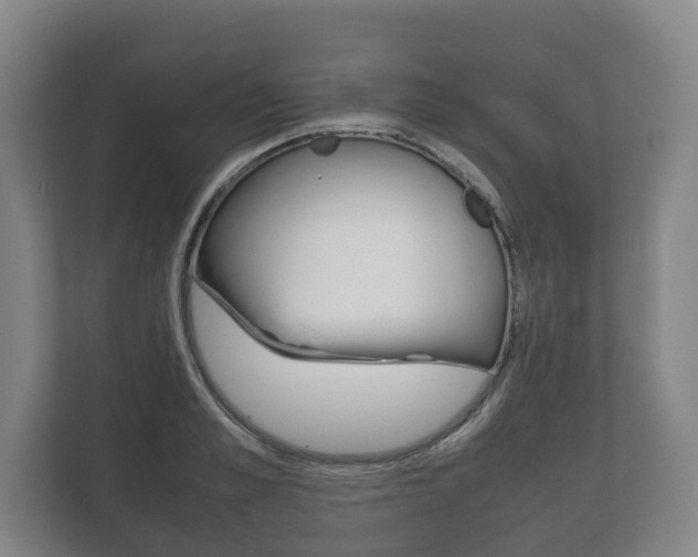 X0000111840989200907231035