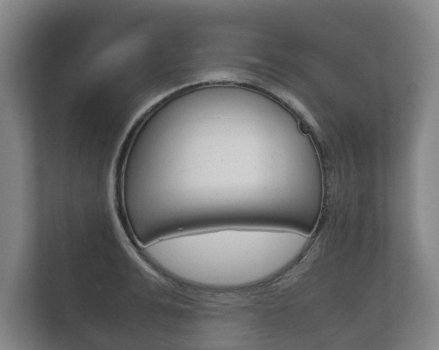 X0000111840991200907231035