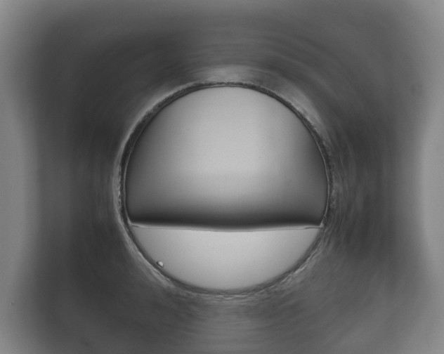 X0000111840992200907231035