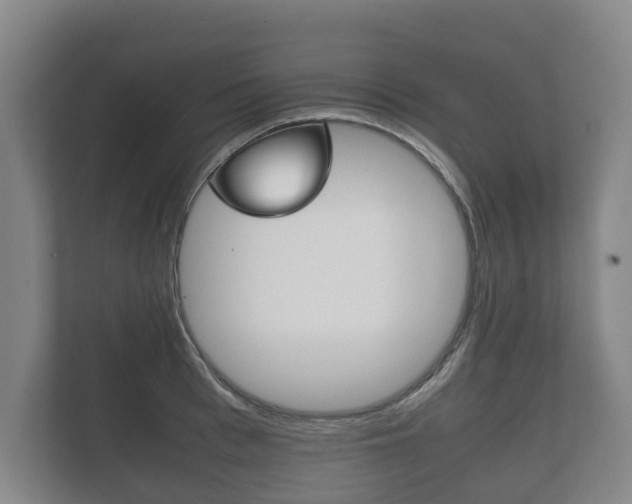 X0000111840993200907231035