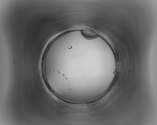 X0000111840995200907231035