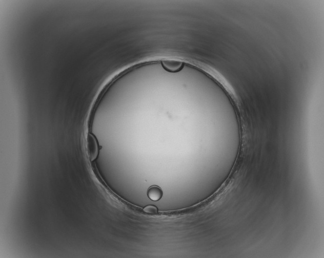 X0000111840996200907231035